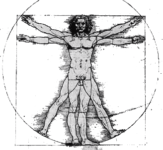 The Vitruvian Man- Leonardo daVinci
