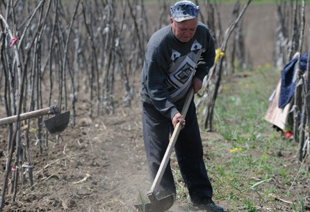 Munca la Ţară