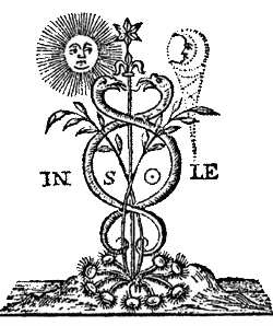 The Caduceus of Mercury (the Three Factors of the Revolution of the Consciousness)