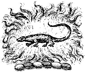 Egy szalamandra, a tűz elementálja - népi ábrázolás