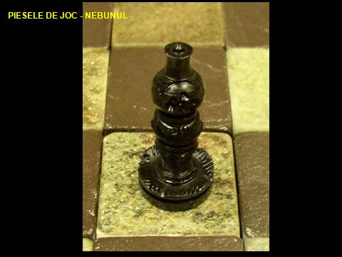 CHESS - the symbolism of the game of Chess, Nebunul